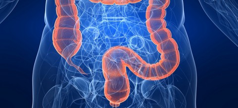What-is-colonoscopy-and-why-should-you-get-screened