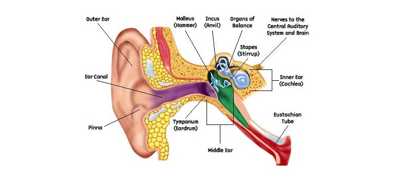 Tinnitus-Causes-Cure-Tinnitus-Treatments