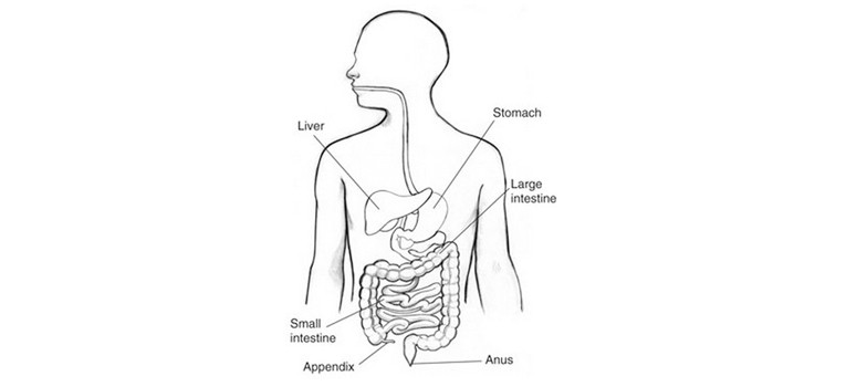 Appendicitis-Diagnosis-and-Treatment