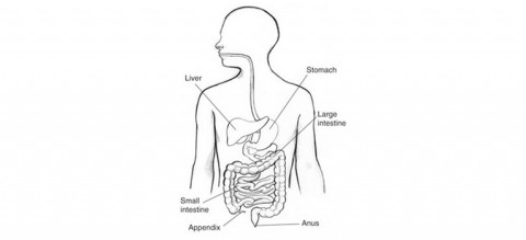 Appendicitis-Diagnosis-and-Treatment