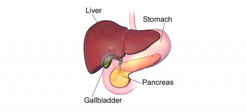 Gastroentroloy-Treatment-7