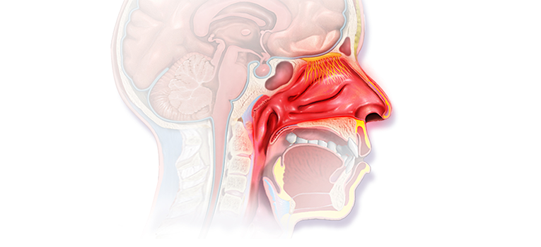 ENT-Treatment-in-Mumbai-1