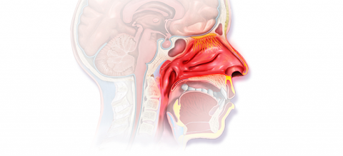 ENT-Treatment-in-Mumbai-1