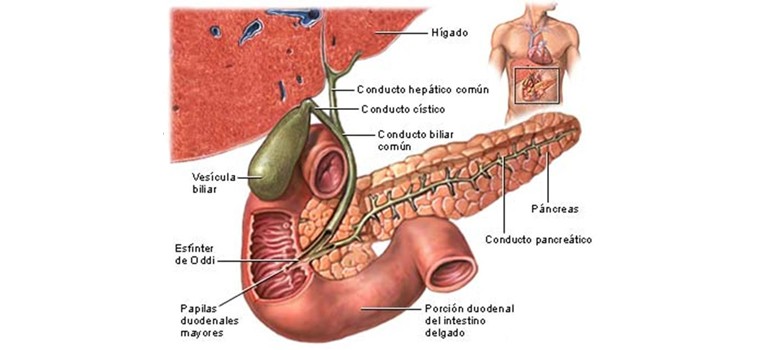 Key-Hole-Surgery-Laparoscopy-for-Gall-Bladder-Stones