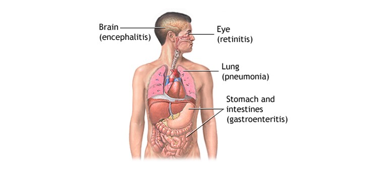 Diagnostic-and-Therapeutic-Procedures-in-Gastroenterology