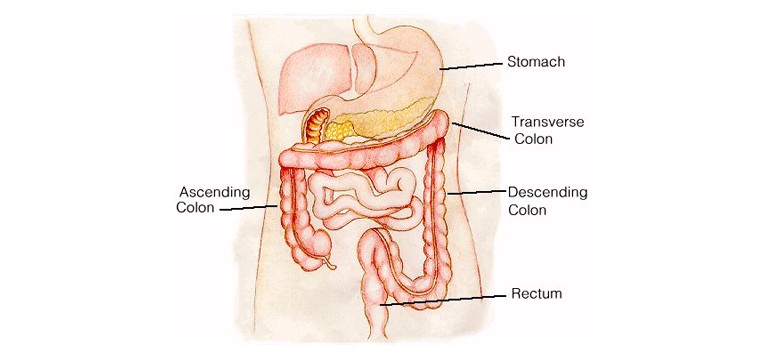 Choosing-a-Specialist-for-your-Gastroenterology-Procedure