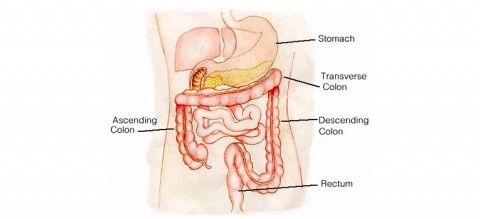 Choosing-a-Specialist-for-your-Gastroenterology-Procedure